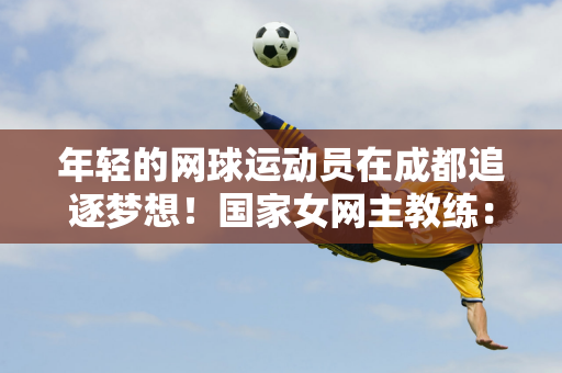 結語觀點